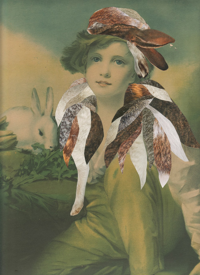 annalynn-hammond-the-boy-and-his-rabbits