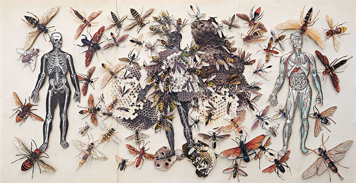 HopeKroll-Collage
