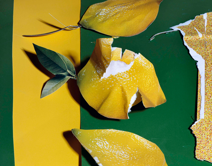 Lemons by Daniel Gordon