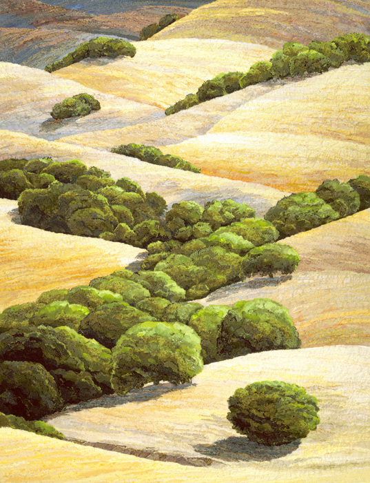 Bay Area Foothills by Merle Axelrad