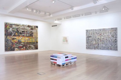 Installation view, Luiz Zerbini, Papagaio do Futuro, Max Wigram Gallery, London, 2013