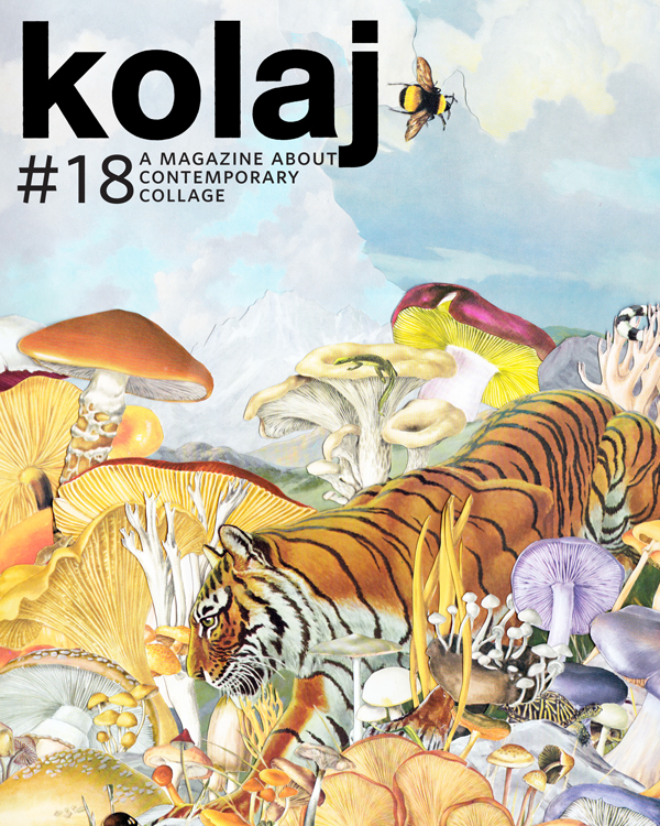 k18-cover