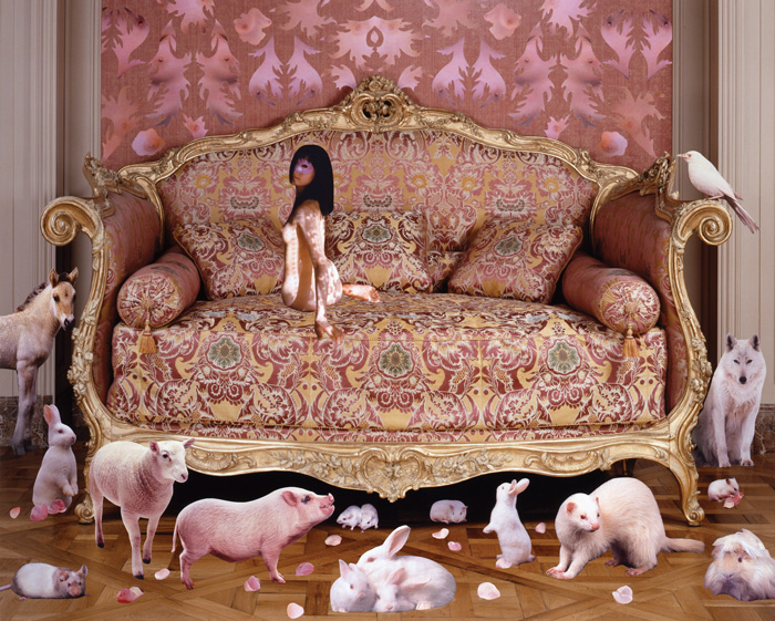 marnie-weber-pink-sofa-issue-8