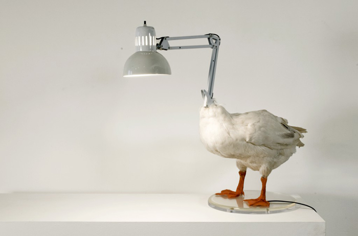 sebastian-errazuriz-the-duck-lamp