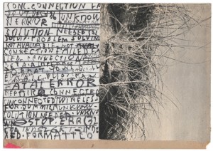 Massimo Nota | Kolaj Magazine Artist Directory