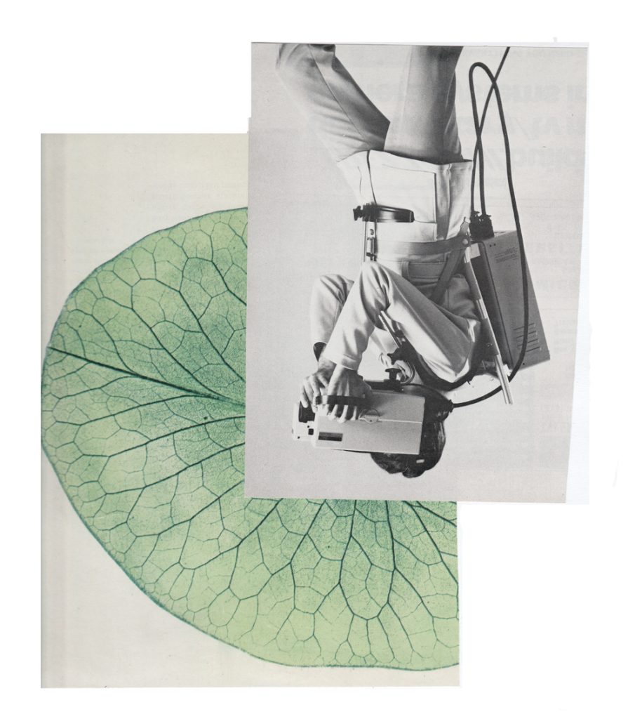 ebony-jansen-optic-nerve-905x1024 image