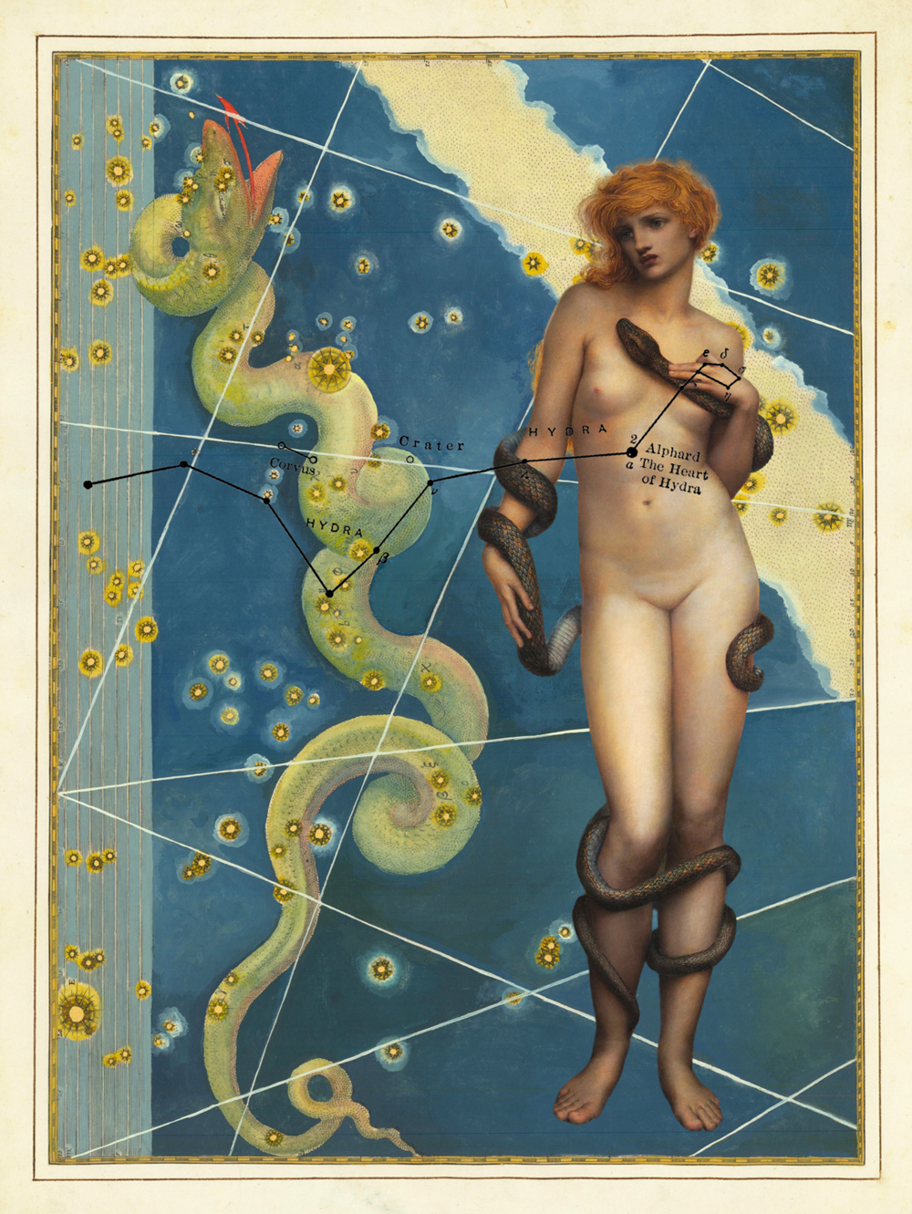 Chimerical Skies