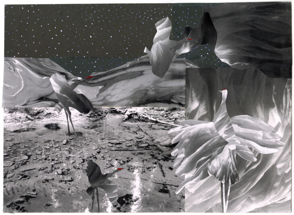 estelle-l-roberge-night-flight-cranes image