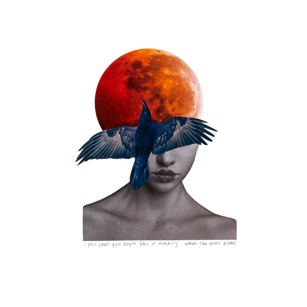 Unspoken Fragments